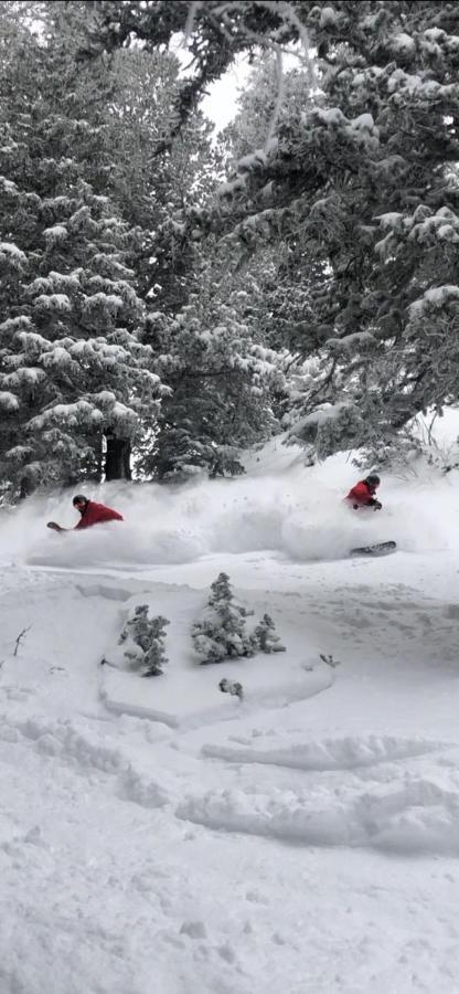 Inn At Snowbird Dış mekan fotoğraf